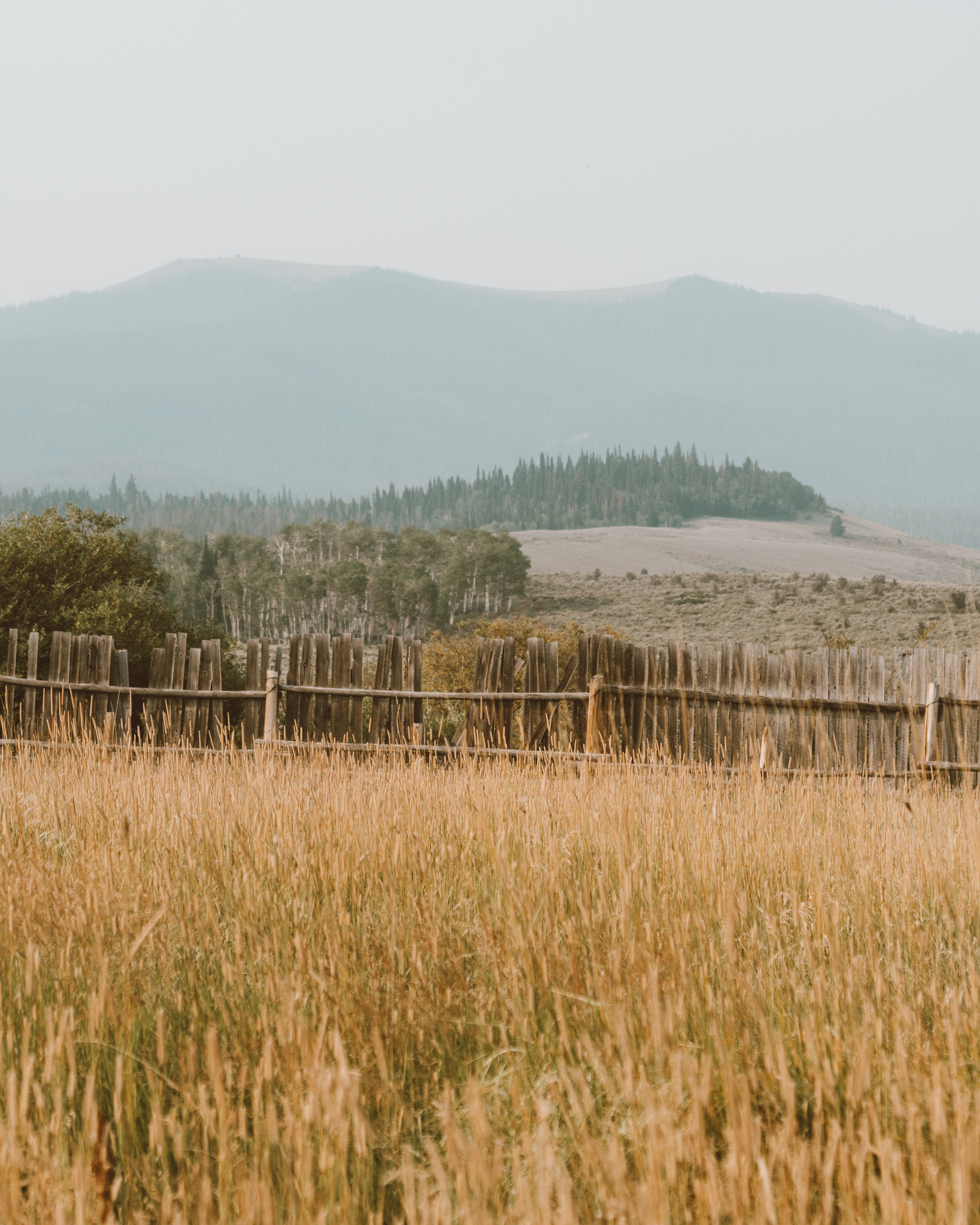 Wild West